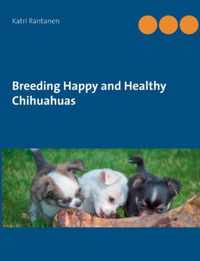 Breeding Happy and Healthy Chihuahuas