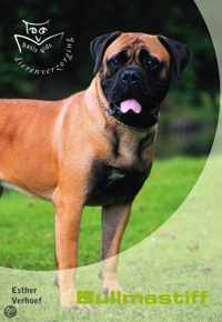 Bullmastiff