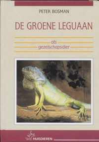 De groene leguaan als gezelschapsdier