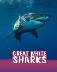 Great White Sharks