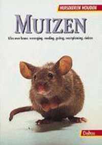 Muizen Huisdieren Houden