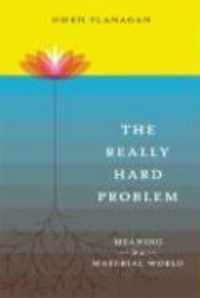 The Really Hard Problem - Meaning in a Material World