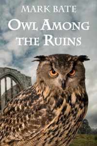 Owl Among the Ruins