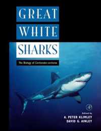 Great White Sharks