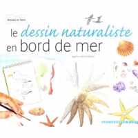 Le dessin naturaliste en bord de mer