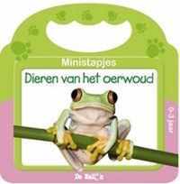 Dieren Van Het Oerwoud