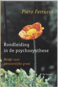 Rondleiding in de psychosynthese