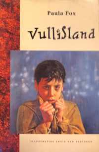 Vullisland