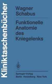 Funktionelle Anatomie Des Kniegelenks