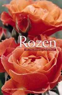 Rozen