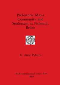 Prehistoric Maya Community and Settlement at Nohmul, Belize