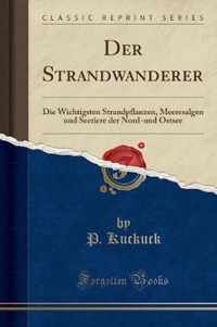 Der Strandwanderer