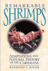 Remarkable Shrimps