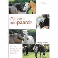 Wat Denkt Mijn Paard ?