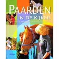 Paarden in de kijker