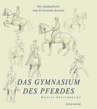 Das Gymnasium Des Pferdes