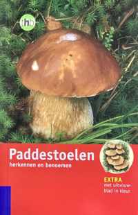 Paddestoelen herkennen en benoemen