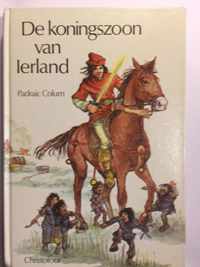 Verhaal Van De Koningszoon Van Ierland