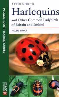 Field Guide to Harlequins and Other Common Ladybirds of Britain and Ireland