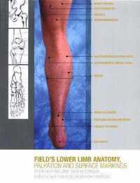 Lower Limb Anatomy, Palpation & Surface Markings