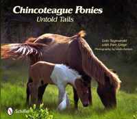 Chincoteague Ponies