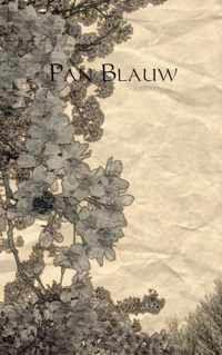 Pan Blauw - S.R. Post - Paperback (9789402111545)