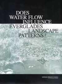 Does Water Flow Influence Everglades Landscape Patterns?