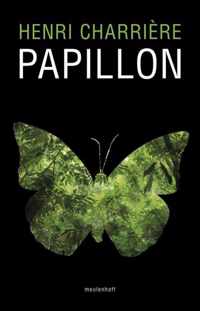 Papillon