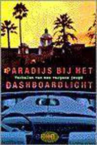 Paradijs Bij Het Dashboardlicht