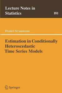 Estimation in Conditionally Heteroscedastic Time Series Models