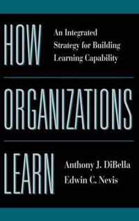 How Organizations Learn