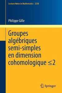 Groupes algebriques semi-simples en dimension cohomologique  2