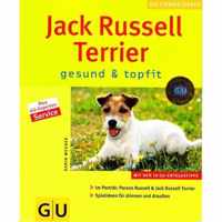 Jack Russel Terrier