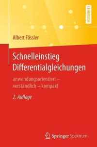 Schnelleinstieg Differentialgleichungen