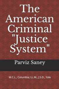 The American Criminal Justice System