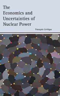 The Economics and Uncertainties of Nuclear Power