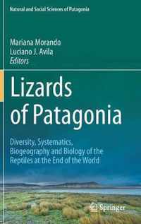 Lizards of Patagonia