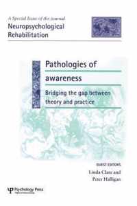 Pathologies of Awareness