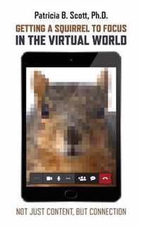 Getting a Squirrel to Focus in the Virtual World