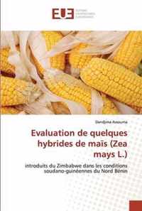 Evaluation de quelques hybrides de mais (Zea mays L.)