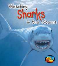 Watching Sharks in the Oceans