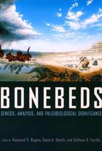 Bonebeds