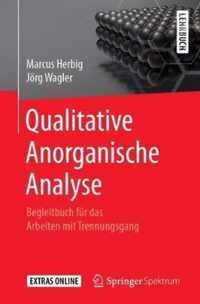 Qualitative Anorganische Analyse