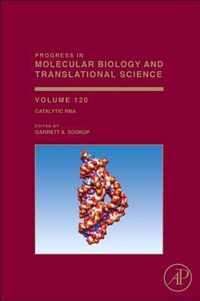 Catalytic RNA