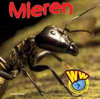 Wonderlijke wereld  -   Mieren