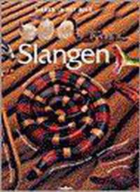 Slangen