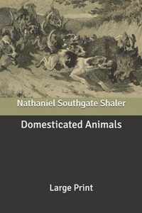 Domesticated Animals