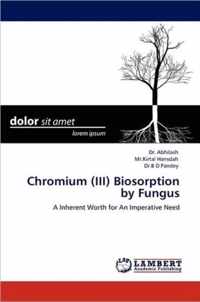 Chromium (III) Biosorption by Fungus