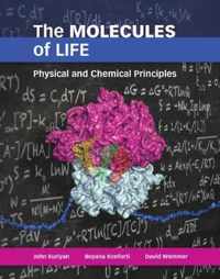 The Molecules of Life