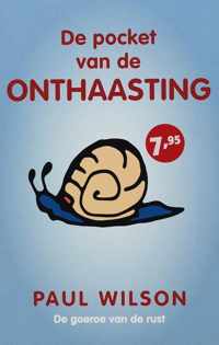 Zilver Pockets De Pocket Van De Onthaasting